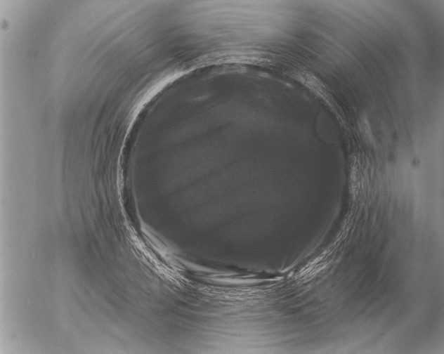 X0000057061024200509231526