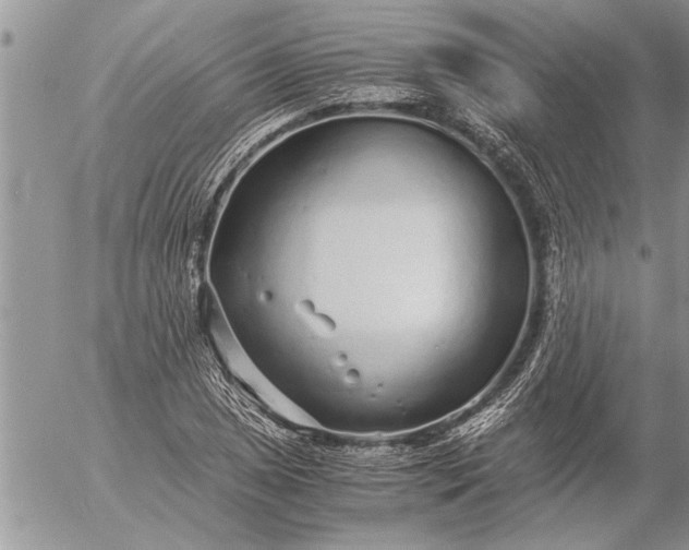 X0000057061025200509231526