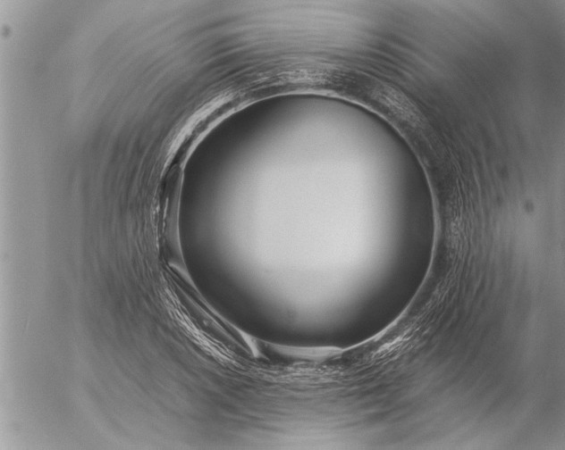 X0000057061026200509231527