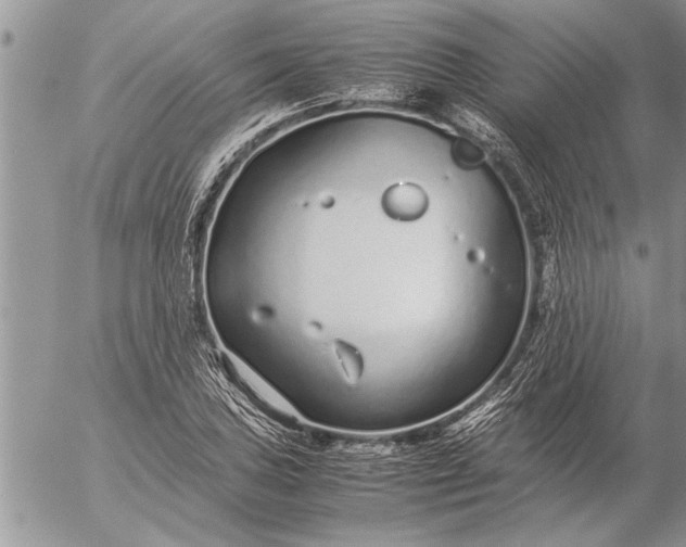 X0000057061027200509231527