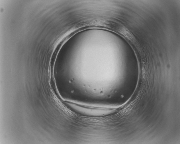 X0000057061028200509231527