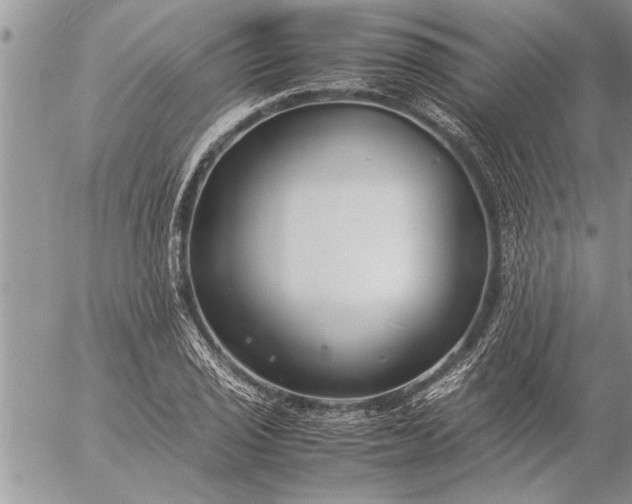 X0000057061029200509231527