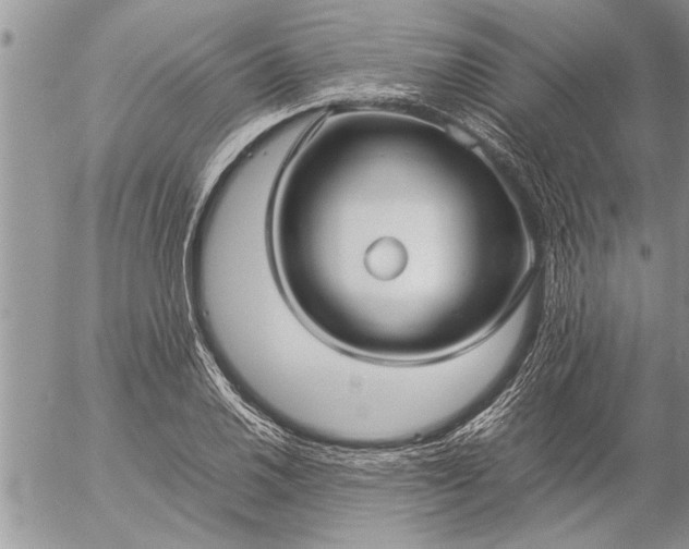 X0000057061030200509231527