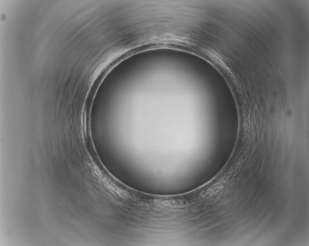 X0000057061032200509231527