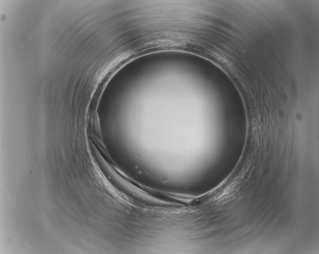 X0000057061034200509231527