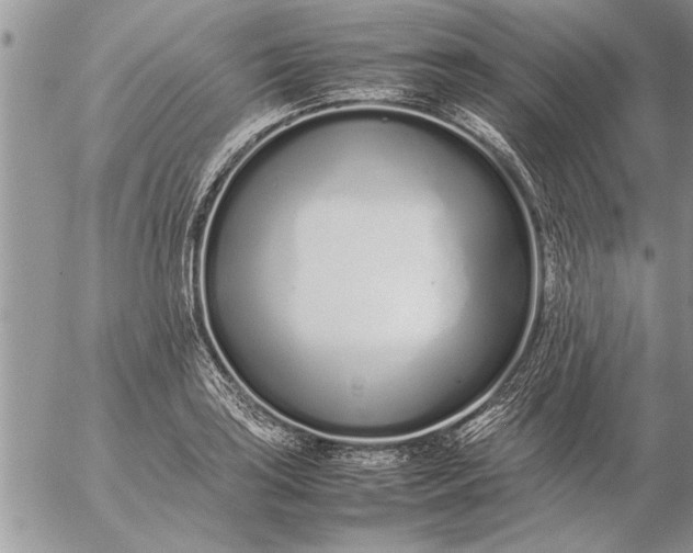 X0000057061035200509231527