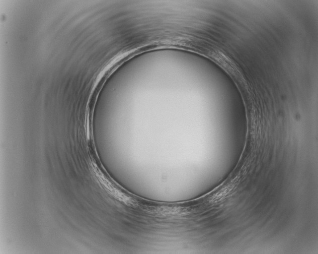 X0000057061036200509231527