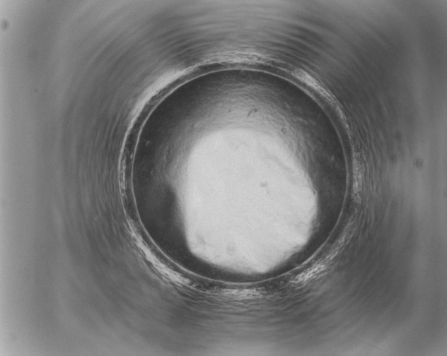 X0000057061037200509231527