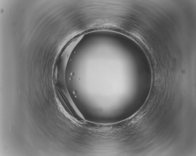 X0000057061038200509231527