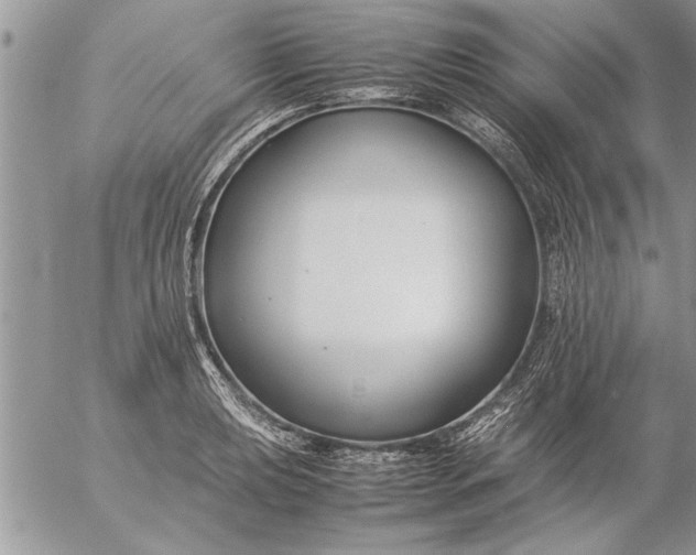 X0000057061039200509231527