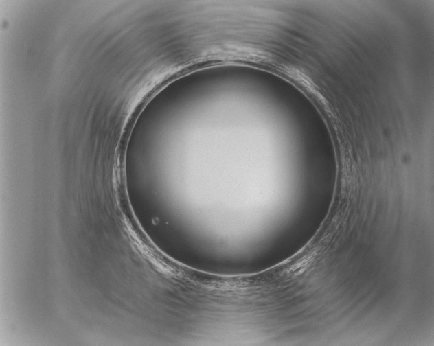 X0000057061040200509231527