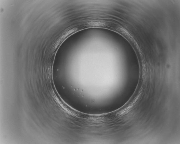 X0000057061041200509231527