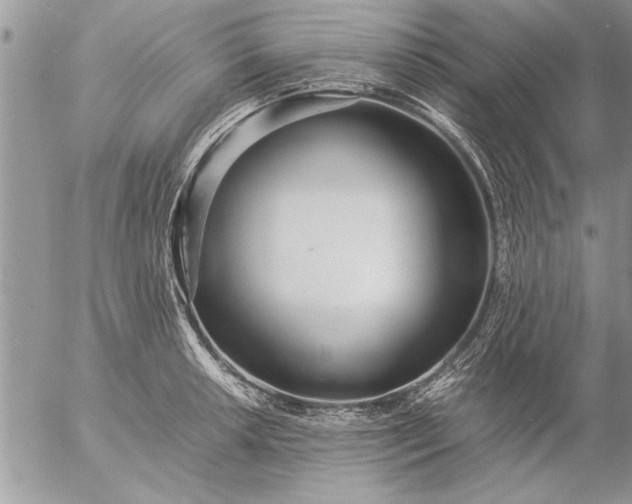 X0000057061042200509231527