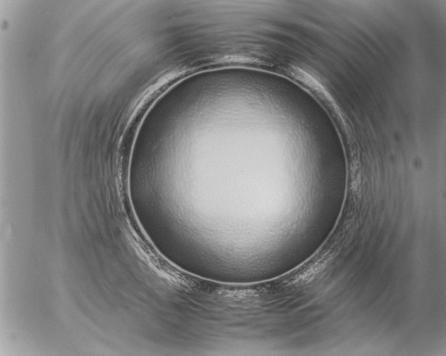 X0000057061043200509231527