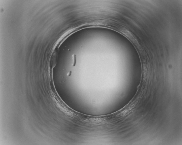 X0000057061044200509231527