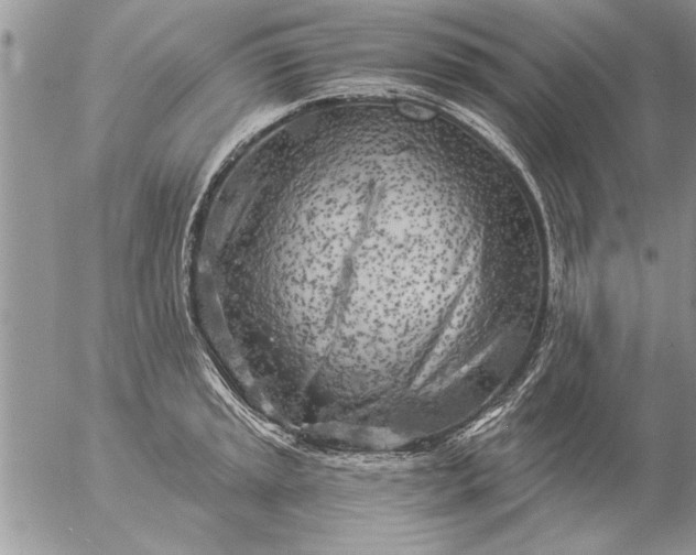 X0000057061045200509231527