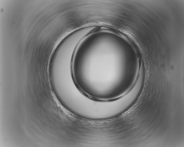 X0000057061046200509231527