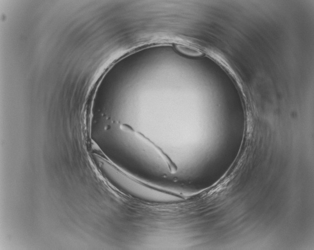 X0000057061048200509231527