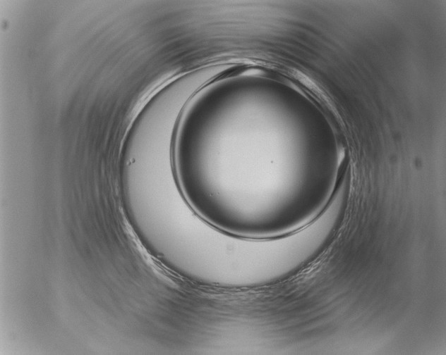 X0000057061050200509231527