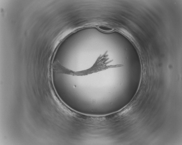 X0000057061055200509231527