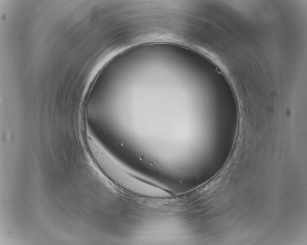 X0000057061056200509231527