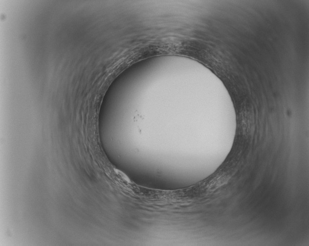 X0000057061057200509231526