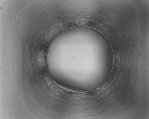 X0000057061058200509231526