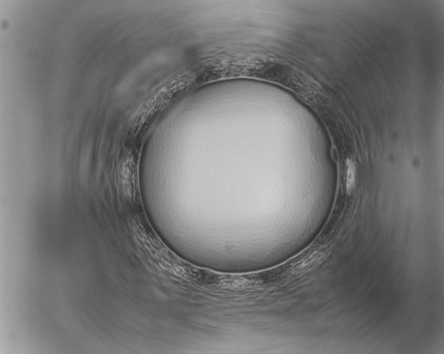 X0000057061059200509231526