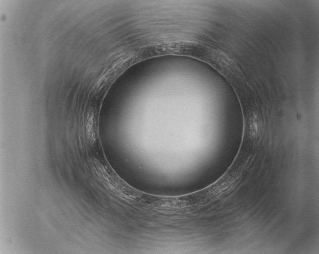 X0000057061060200509231526