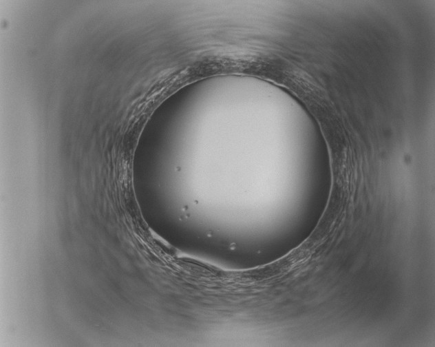 X0000057061061200509231526