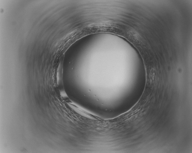 X0000057061062200509231526