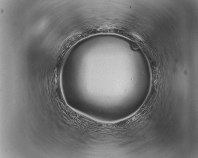 X0000057061063200509231526