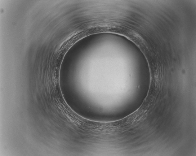 X0000057061064200509231526