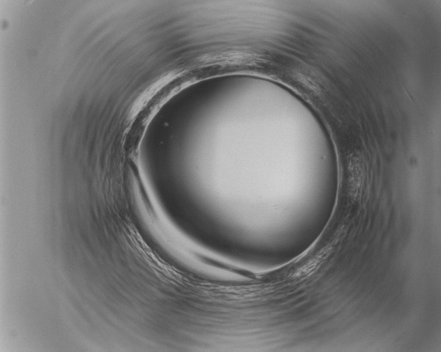 X0000057061066200509231526