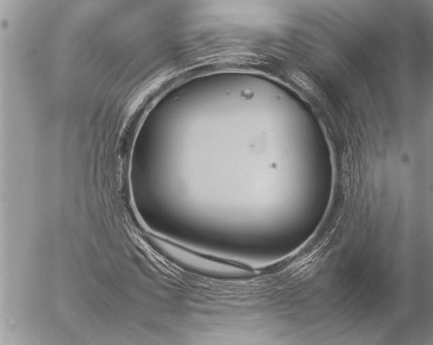 X0000057061067200509231526