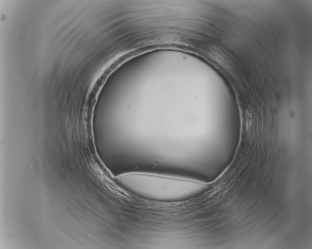 X0000057061068200509231526