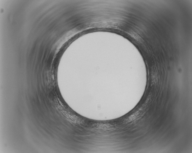 X0000057061070200509231526