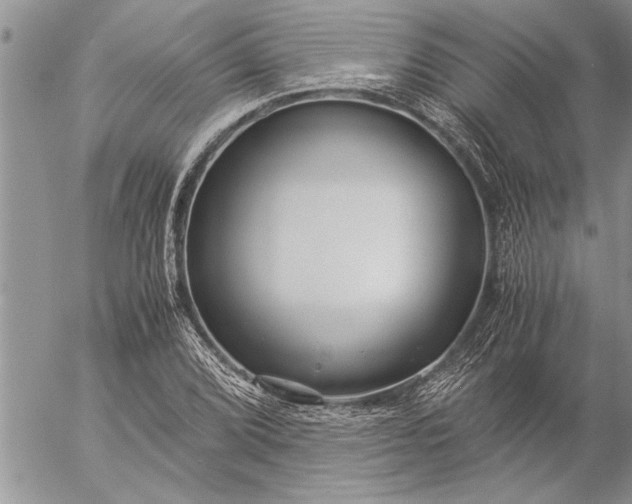 X0000057061072200509231526