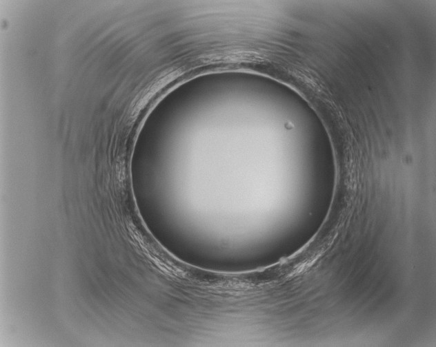 X0000057061073200509231526