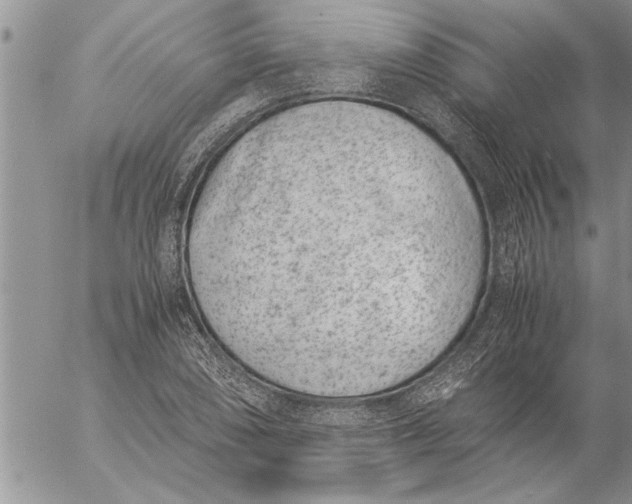 X0000057061074200509231526