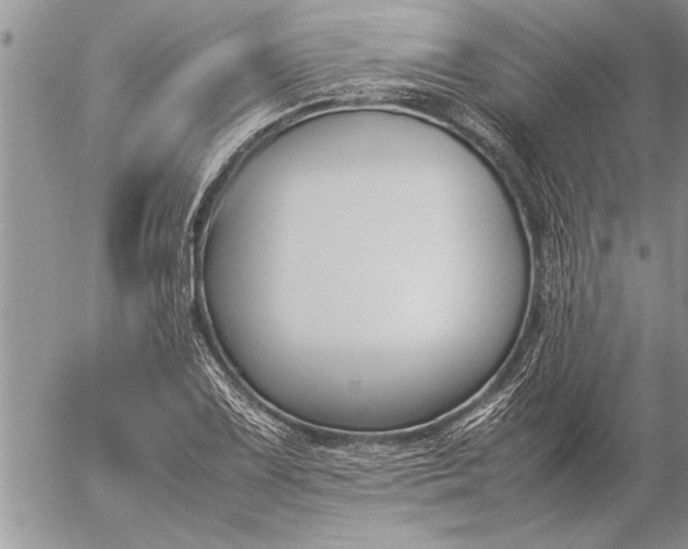 X0000057061075200509231526