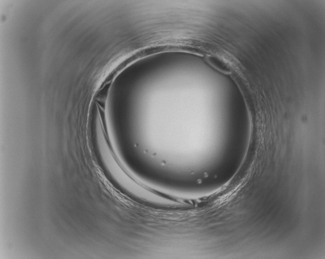 X0000057061077200509231526