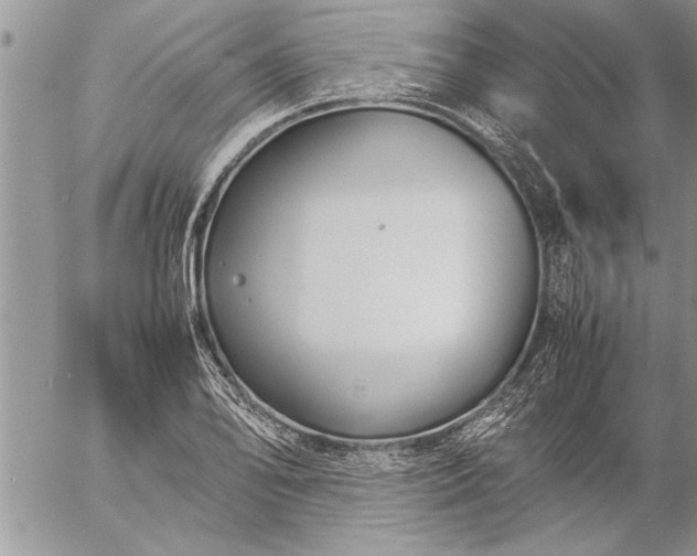 X0000057061078200509231526