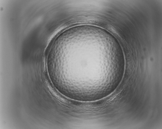 X0000057061079200509231526