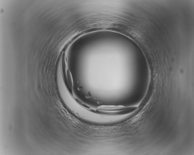 X0000057061081200509231526