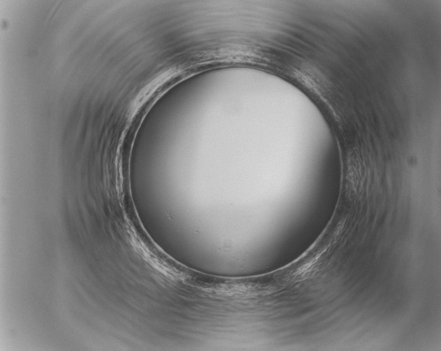 X0000057061082200509231526