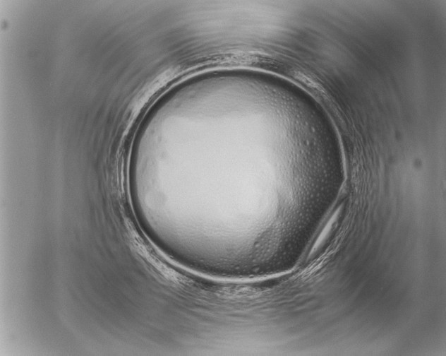 X0000057061083200509231526