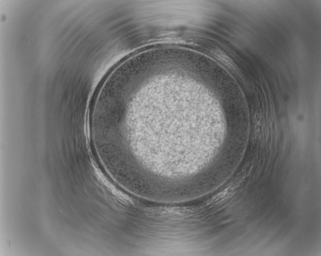 X0000057061084200509231526