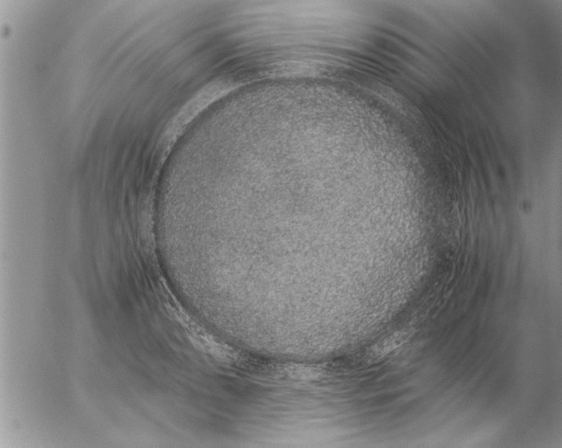 X0000057061086200509231526