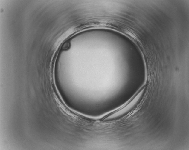 X0000057061087200509231526